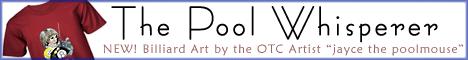 The Pool Whisperer OTC Billiards Art Design Original